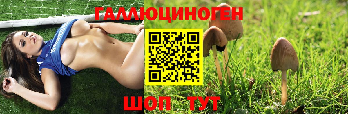 Псилоцибиновые грибы прущие грибы  Псилоцибиновые грибы ЛСД  Алатырь  Вход с VPN 